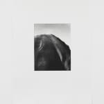 Jack Davison, Untitled, 2022
