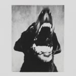 Jack Davison, Untitled, 2022