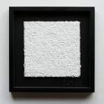 Koji Shiraya, After the rain (No. 13), 2016-2022