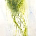 Lisa Fenton O'Brien, Sphagnum Rainfall April 14th, 2024