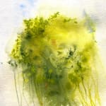 Lisa Fenton O'Brien, Sphagnum Rainfall April 14th, 2024