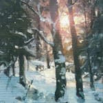 Jenny Aitken, Woodland Dawn