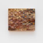 Melania Toma, About Soil, Decomposition and Saprotrophic Entities, 2024