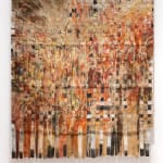 Melania Toma, About Soil, Decomposition and Saprotrophic Entities, 2024
