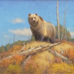 Nicholas Ward, And It Was All but Certain