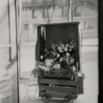 Robert Frank