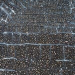 Peter Campbell, Rogue Fractal, 2018