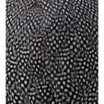 Thaddeus Holownia, Sarraceniaceae #9, 2020