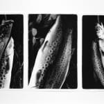 Carol Marino, Think of the Sea as an Artist, 1978