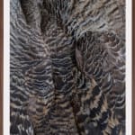 Thaddeus Holownia, Wood Duck, 2022