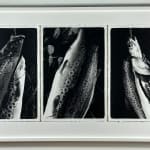 Carol Marino, Think of the Sea as an Artist, 1978