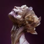 Roy Adin, Under the Surface, 2025