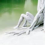 Roy Adin, Winds of Change, 2024