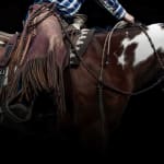 Guillaume Beau de Lomenie, Winter Coat