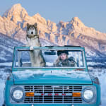 David Yarrow, The Million Dollar Cowboy Bar