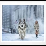 David Yarrow, You Cannot Be Serious