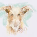 Sally Muir, Skye (Unframed)
