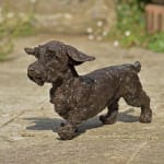 Rosemary Cook, Bertie