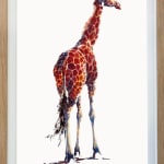 Julia Cassels, Merlin