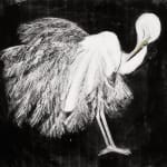 Beatrice Forshall, Great Egret (Unframed)