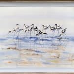 Julia Cassels, Pelicans of Nakuru