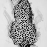 Merlin Bateman-Paris, Cheetah III (London Gallery)