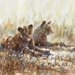 Julia Cassels, Merlin