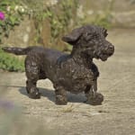 Rosemary Cook, Bertie