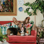 Thumbnail of additional image