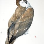 Karl Martens, Osprey (Mounted) (London Gallery)