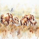 Julia Cassels, Merlin