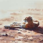 Julia Cassels, Merlin