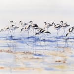 Julia Cassels, Pelicans of Nakuru