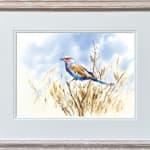 Julia Cassels, Merlin