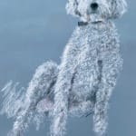 Sally Muir, Skye (Unframed)