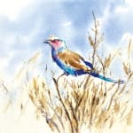 Julia Cassels, Merlin