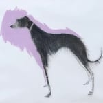 Sally Muir, Skye (Unframed)