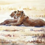 Julia Cassels, Merlin