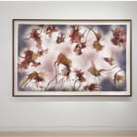 Virginia Jaramillo, Blue Space, 1972