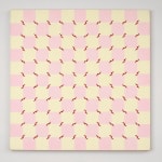 Audra Skuodas, Untitled, c. 2011