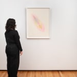 Audra Skuodas, Untitled, c. 2011