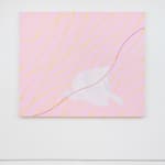 Audra Skuodas, Untitled, c. 2011