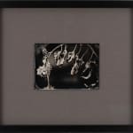 Allan Barnes, Rowynn, 2009