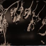 Allan Barnes, Rowynn, 2009