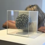 Angela Palmer, Grey Matter: Brain of Artist, 2018