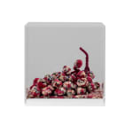 Debbie Lawson, Still Life (grapes), 2024