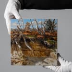 Thumbnail of additional image