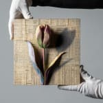 Gordon Cheung, Resilience, 2024