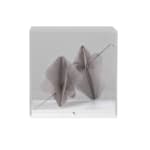 Zara Ramsay, Welt Waltz , 2022