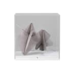 Zara Ramsay, Welt Waltz , 2022